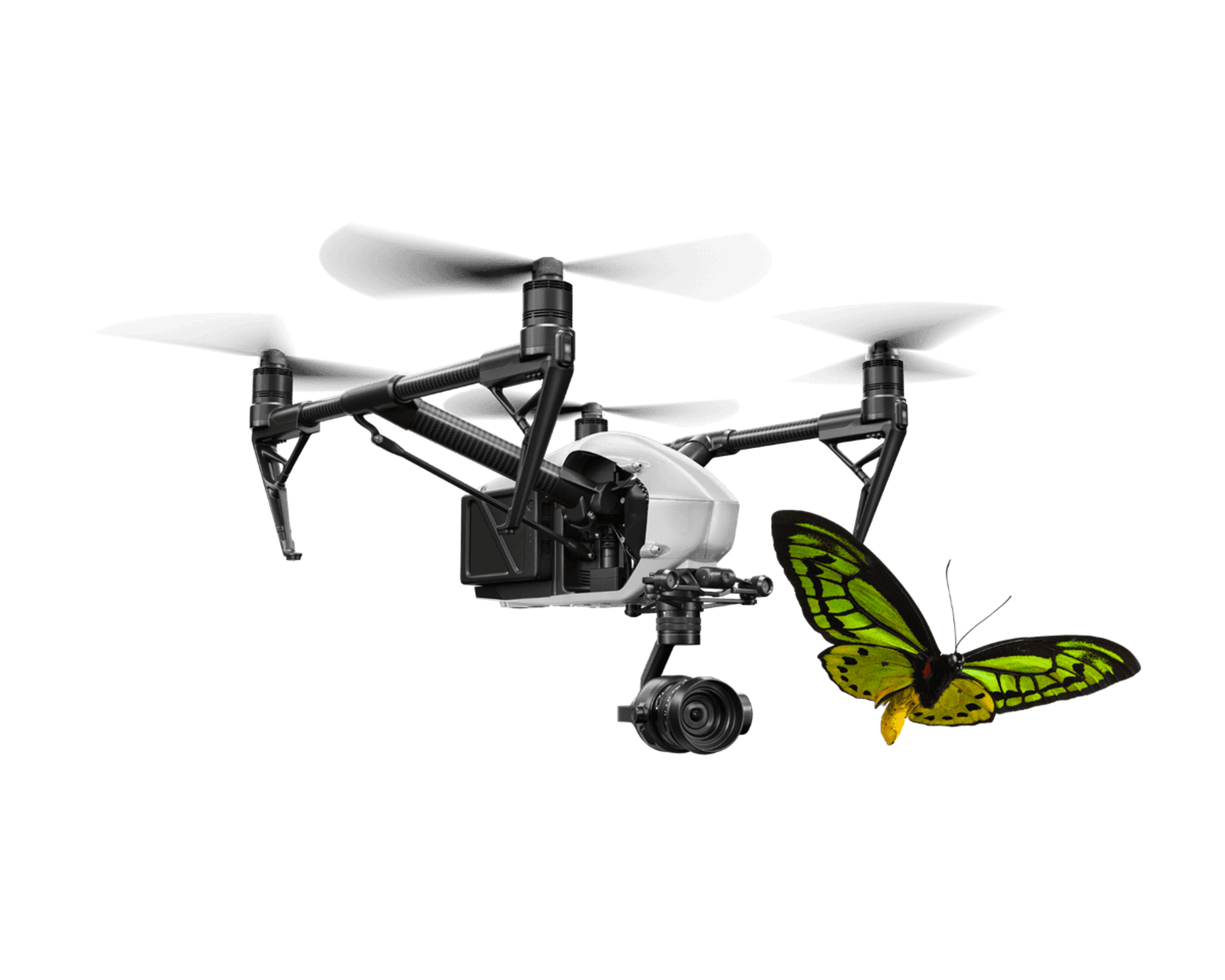 Drone with green butterfly