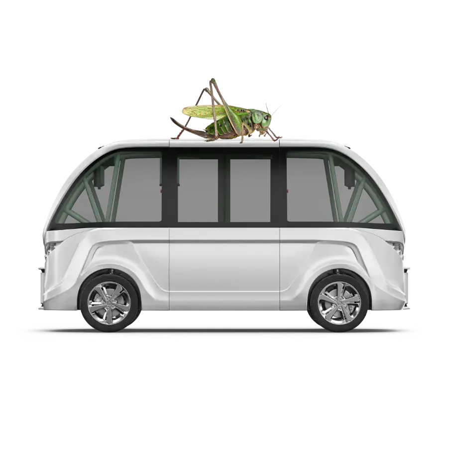 Grasshopper on car